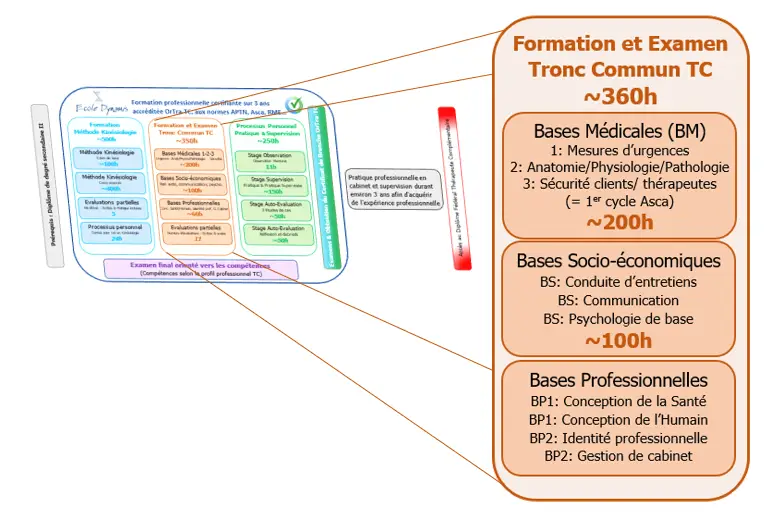 école dynamis structure tronc commun