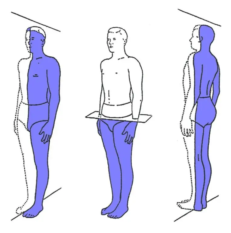 école dynamis brain gym